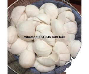 ขนมเนื้อกะลามแช่แข็ง - ความสุขเย็นสําหรับกระเพาะชิมของคุณจากเวียดนาม - Product Image 2