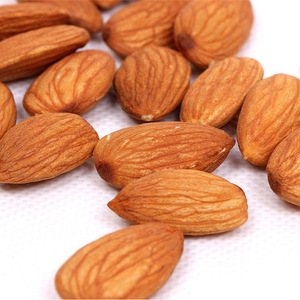 Amandes séchées naturelles de haute qualité en gros, amandes brutes autrichiennes de qualité supérieure, stockage à froid pour usage alimentaire, prix réduit - Product Image 3
