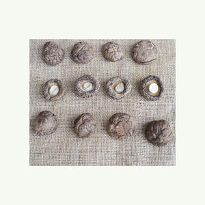 Vente en gros emballage en vrac champignons shiitake séchés - Product Image 5