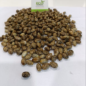 Fasole de Castor - Product Image 1