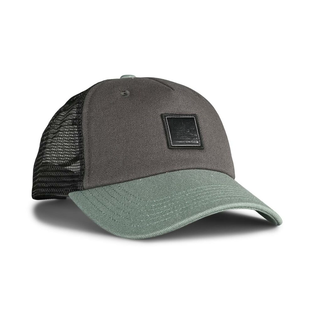 สีเขียว SAP