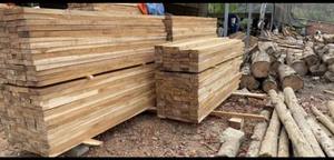 Bois de pin et d'acacia de la marque M.I.T VIETNAM, bois scié, longueur 1m/2m, couleur naturelle - Product Image 6