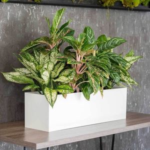 Caja de maceta elevada galvanizada con patas Cama de jardín elevada de pie para exteriores con ruedas para verduras - Product Image 5