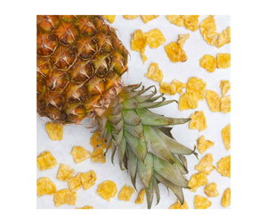 Ananas séché tranché sucré et savoureux: Ananas séché tranché acidulé du Vietnam Fruits séchés à des prix compétitifs pour les marchés - Product Image 1
