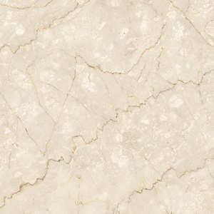 Découvrez les meilleurs fabricants indiens de carreaux en porcelaine de 600x600 mm, conçus pour la décoration murale et de sol des salons et bureaux modernes. - Product Image 2