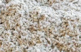 Gâteau de tourteaux de coton de haute qualité, naturel, biologique, non tissé, 280 GSM, ingrédient alimentaire à vendre - Product Image 4