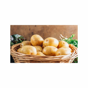High Quality Organic <b>Fresh</b> <b>Sweet</b> <b>Potatoes</b> Professional Export Wholesalers Price - Product Image 2