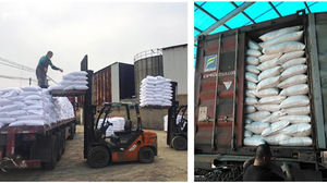 N46 Urea Fertilizante Nitrógeno y NPK Caprolactama Polímero Recubierto Cristalino y Prilled Estados en Bolsa de Embalaje - Product Image 6