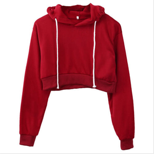 Vente chaude décontracté court femme à manches longues pull pull haute qualité automne hiver capuche Anti-rétrécissement mixte texturé tricot - Product Image 3
