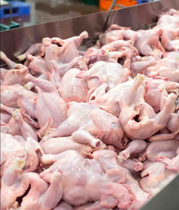 BQF การแช่แข็งอกไก่แช่แข็งแบบฮาลาลปีกไก่ทั้งขาไก่เต้านมสำหรับแช่แข็ง - Product Image 5