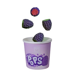 ไอศกรีมลึกลับนุ่มครีมแช่แข็งขนมวานิลลาช็อคโกแลตสตรอเบอร์รี่รสมะม่วงคุณภาพระดับพรีเมียม - Product Image 1