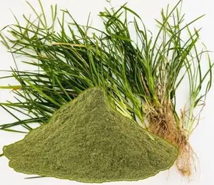 天然草药Eleusine Indica棕色绿色粉末可清除体内的毒素，无糖尿病问题
