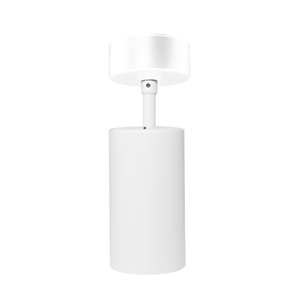 Altavoz colgante para uso en cafeterías y galerías con modo dual de 100V/8 Ω y diseño elegante para colgar - Product Image 4