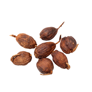 Meilleure qualité prix de gros Vietnam fabricant fournir Top Notch qualité cardamome noire dans le sac - Product Image 5