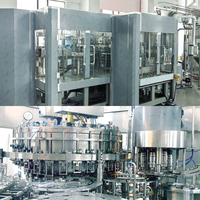 Máquina de Llenado Automático Monobloque CE para Líquidos, Llenado, Soplado y Tapado, 10000 BPH, Línea de Producción de Agua, Jugo y Té en Envases PET