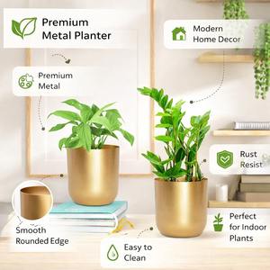 Ensemble de 2 pots à fleurs et jardinières sur pied en métal doré, best-seller, pour la décoration de la maison, du bureau et du jardin - Product Image 6