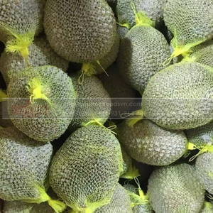 พรีเมี่ยมคุณภาพเกรดเวียดนามแช่แข็ง Ri6ทุเรียนผลไม้จากเวียดนามผลิต - Product Image 5