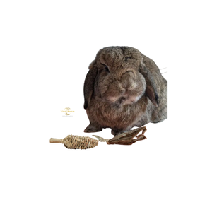 Premium Handmade Water Hyacinth Carrot Chew <b>Toy</b> <b>for</b> Rabbits <b>Hamsters</b> - Product Image 6