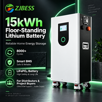 Baterai Surya LiFePO4 10kwh 15kWh 48V 51.2V 280Ah 300Ah 314Ah 15 Kwh Baterai Lithium untuk Energi Surya Rumah Tangga Garansi 10 Tahun