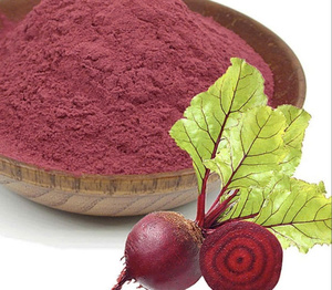 Experimente un impulso natural con nuestro polvo de remolacha orgánico, diseñado para la energía y el bienestar - Product Image 3