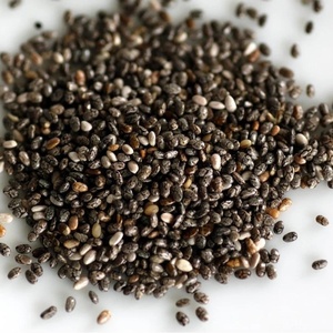 Semillas de Chía Negra Natural Premium al por Mayor, Silvestres, 2 Años de Duración, Hechas en Vietnam, Precio al por Mayor Directo de Fábrica - Product Image 6