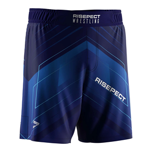 2025 Premium OEM ODM Professional Wrestling Package Combo - Shorts, pantalons de survêtement, sweat à capuche, T-shirt et Singlet - Product Image 5