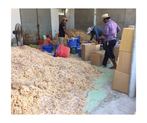 Venta al por mayor de musgo de mar seco orgánico a granel Cottonii Superfood Premium Pure Natural Vegan Non GMO Gluten Free Export Factory Vietnam - Product Image 3