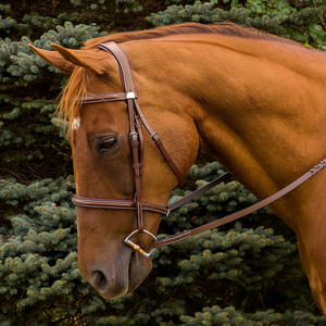 Les fabricants vendent la bride de cheval en cuir véritable en gros conception personnalisée de haute qualité bride de cheval en cuir véritable - Product Image 2