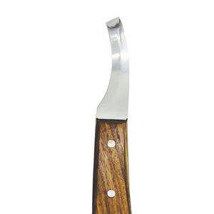 Nouveauté Couteau à sabots réutilisable à lame tranchante, manche en bois, outils pour maréchaux forestiers, couteau à sabots chirurgical en acier inoxydable OEM - Product Image 3