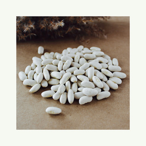 ถั่วไตขาวคุณภาพสูงขายส่งจำนวนมากในราคาประหยัด - Product Image 1