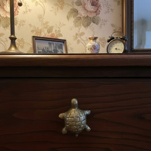 ลูกบิดรูปเต่าทำจากเหล็กร่วมสมัยเฟอร์นิเจอร์ลิ้นชักตู้ตู้เสื้อผ้ามือจับสกรูที่มีความทนทานเป็นมิตรต่อสิ่งแวดล้อมห้องนอนวิลล่า - Product Image 1