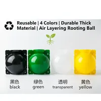 Boîte de bouturage transparente réutilisable en plastique pour plantes, boule de propagation par air, 4 couleurs, épaisse, durable, grande taille, pour greffage d'arbres de jardin