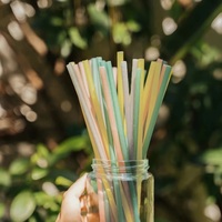 Pailles à boire en riz comestibles écologiques, durables, biodégradables, sans danger pour les enfants et les adultes