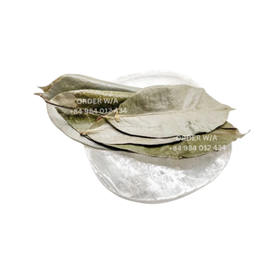 Té de hierbas orgánico natural de etiqueta privada Té de hoja de Graviola Té de Guanábana con alta calidad y precio competitivo - Product Image 5