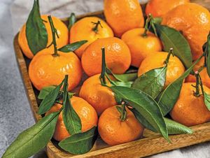 Naranja Navel Orgánica de Primera Calidad, Mandarina Dulce Ponkan, Fruta Cítrica Fresca en Venta - Product Image 3