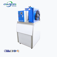 Machine à glace en flocons COLDPRO 0.3T, petite, en acier inoxydable 304, automatique, commerciale, pour mini-boutique, stand de fruits de mer, refroidissement des produits frais