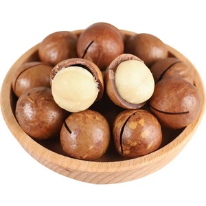 Noix de macadamia 100% fraîches en vrac d'usine 2A 3A 5A grillées saveur crémeuse vente en gros de macadamia - Product Image 6