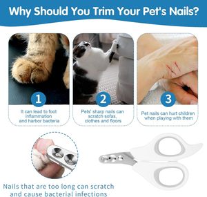 Coupe-ongles pour chat écologique avec trou de coupe circulaire et tondeuse à double trou rond Coupe-ongles pour animaux de compagnie sûr pour éviter les coupures excessives - Product Image 4