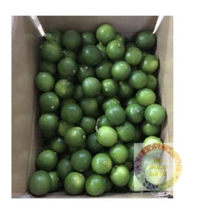 VIETNAM LIME FRAIS SANS GRAINES AGRUMES VERTS DE HAUTE QUALITÉ POUR L'EXPORTATION EN GROS MEILLEUR PRIX FOURNISSEUR - Product Image 1