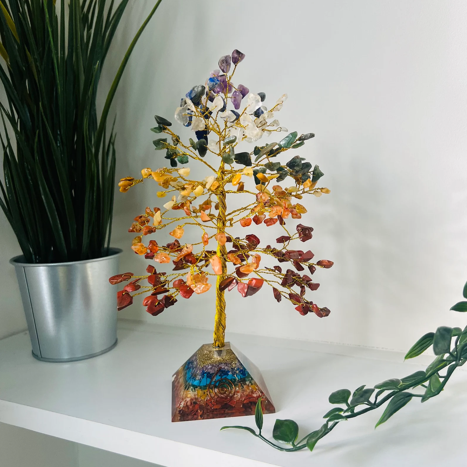 ตามที่แสดงในรูป