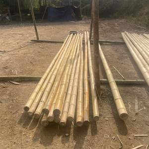 Postes de bambú de tamaño personalizado | Secado carbonizado tratado | Material de construcción estructural | Fábrica de Vietnam - Product Image 3