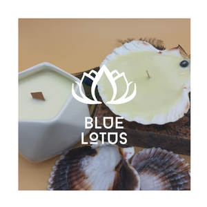 Conchas marinas de alta calidad disponibles en Vietnam para manualidades ecológicas, proyectos de regalos hechos a mano y decoración del hogar - Product Image 1