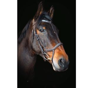 Bride de cheval en cuir véritable FABRICANT Bonne qualité Bride de cheval en cuir véritable de haute qualité FABRICANT - Product Image 1