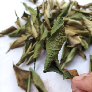 Feuilles de tilleul séchées de qualité supérieure meilleur prix feuille de citron sec prêt pour l'exportation fabriqué au Vietnam - Product Image 4