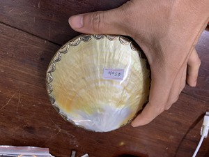 Fine nacre coquillages: prix compétitif, qualité supérieure, élégance naturelle-parfait pour les bijoux artisanaux - Product Image 4