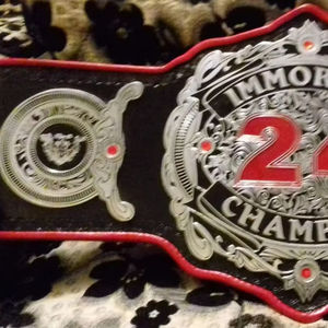 เข็มขัดแชมป์ที่กำหนดเองรางวัลเหรียญและรางวัลสัญลักษณ์สูงสุดของชัยชนะและเข็มขัดแชมป์ - Product Image 6