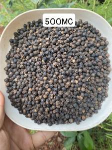 High Quality <b>Black</b> <b>Pepper</b> Vietnam Whole Cheap Wholesale 500GL 550GL 600GL 5MM <b>Powder</b> Bold Single Spices VILACONIC 24 Months - Product Image 3