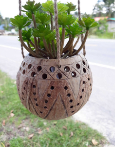 Coconut Shell for Outdoor <b>Planters</b>/ Coconut Fiber Pots High Quality 100% Natural Material Eco-friendly - Product Image 6