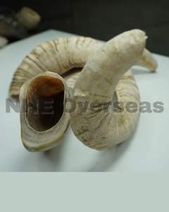 Le chien naturel de corne de bélier mâche des friandises dentaires sûres durables et saines pour les chiens par NHE Overseas - Product Image 1