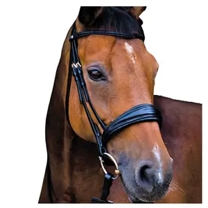 Switch Snaffle Weymouth Bridle Outdoor Affordable Sports use Comfortable Horse Riding for Worldwide Outdoor